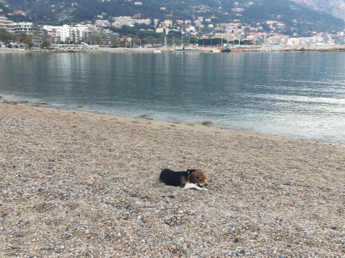 Appartement Maroelvi Μεντόν Εξωτερικό φωτογραφία